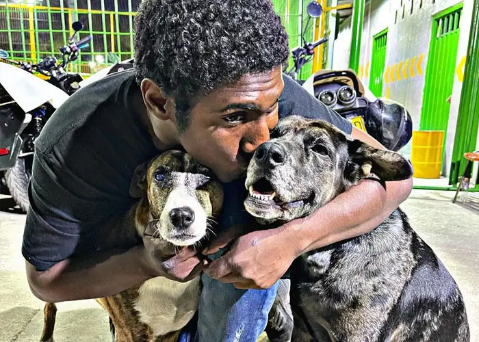 The Impact of One Homeless Man’s Love for His Dog