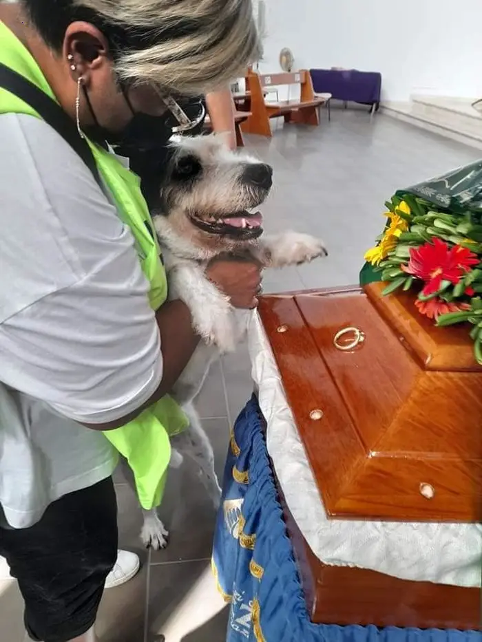 A Touching Display of Love as Devoted Dog Cries Beside Owner’s Coffin