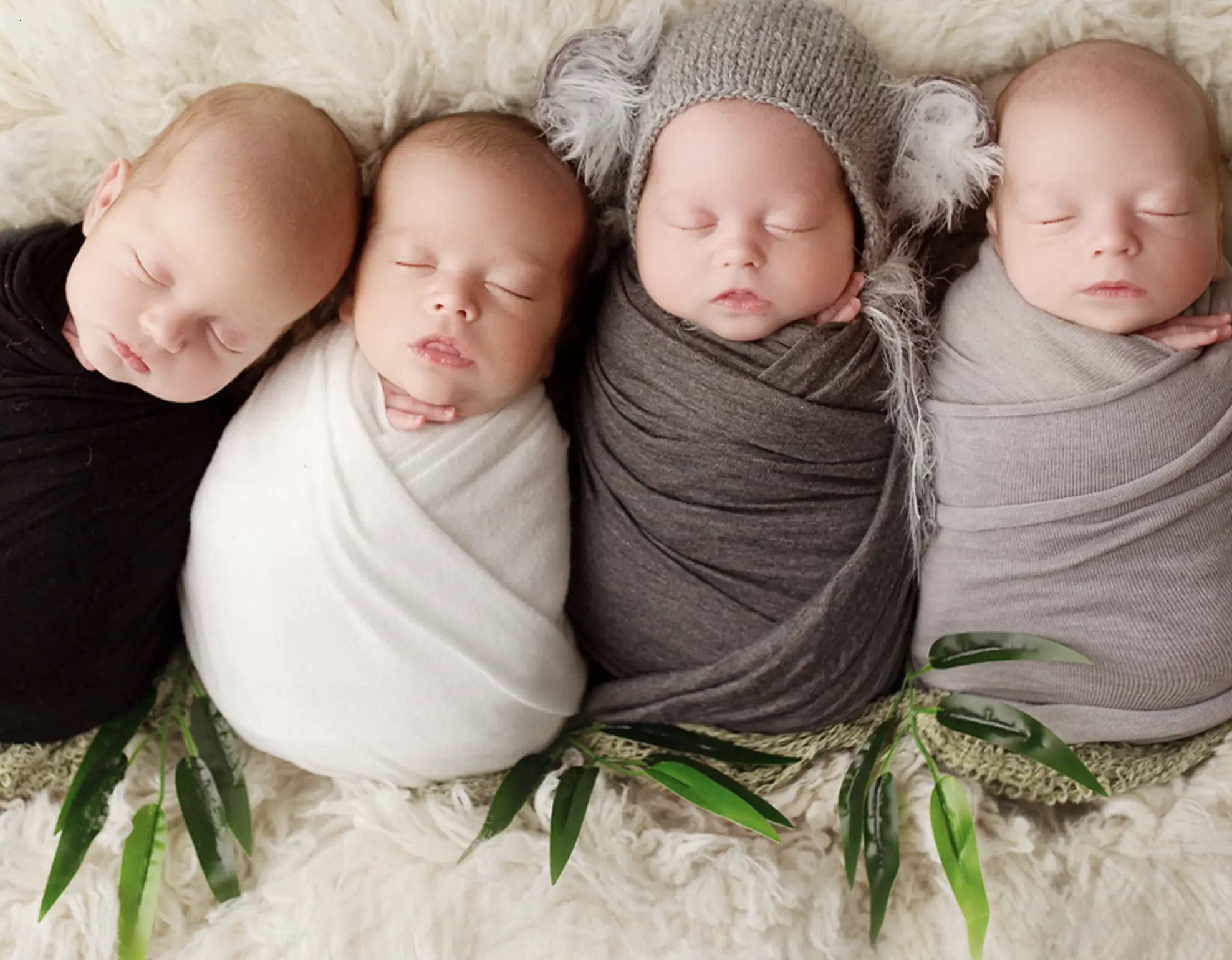 Joyful Arrival: Newborn Photos Welcoming 4 New Family Members Elicit Happiness and Thousands of Congratulations from the Community