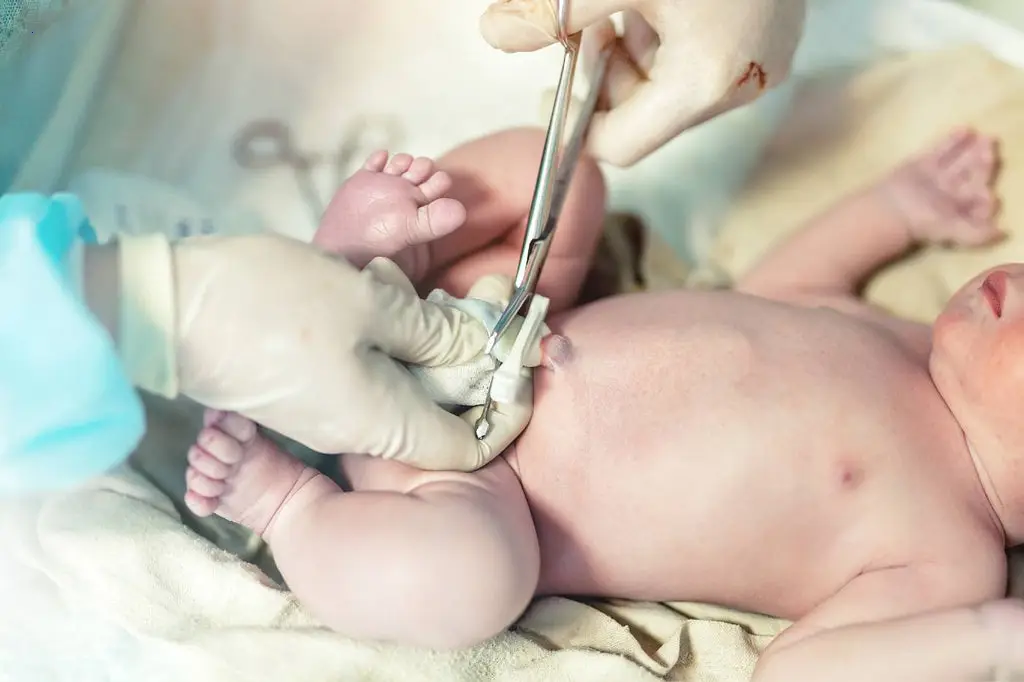 The Surprising Beauties Created by a Newborn’s Umbilical Cord (Video.)