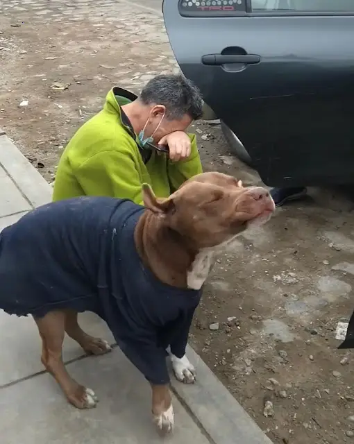 The owner shed tears when reunited with his lost pet dog after 6 months of wandering.
