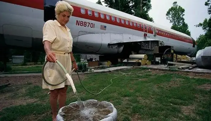 The woman acquired a retired aircraft, placed it in the woods, and settled there