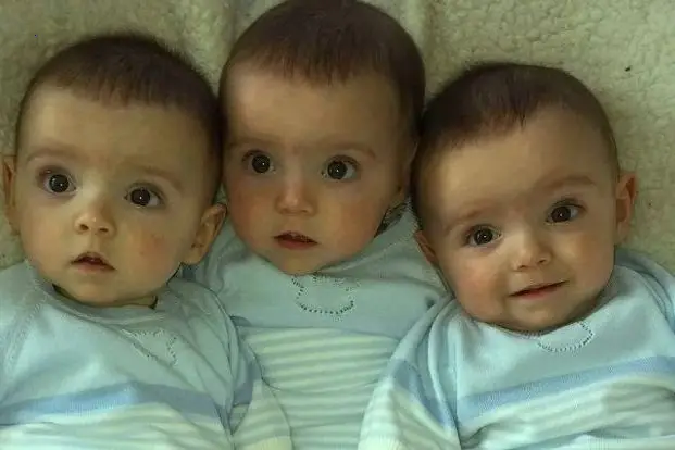 Absolutely identical triplets. They are already 7 years old: how handsome brothers grow and look