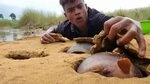 The rare sight of a giant manta ray laying eggs on the riverbank is a once-in-a-thousand-year phenomenon (Video).f