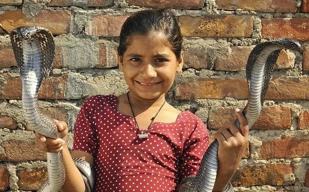 King Cobra: The journey abroad of an 8-year-old Indian girl.f