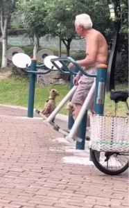 Grandpa is filmed swinging his pets in the park and moves the world.
