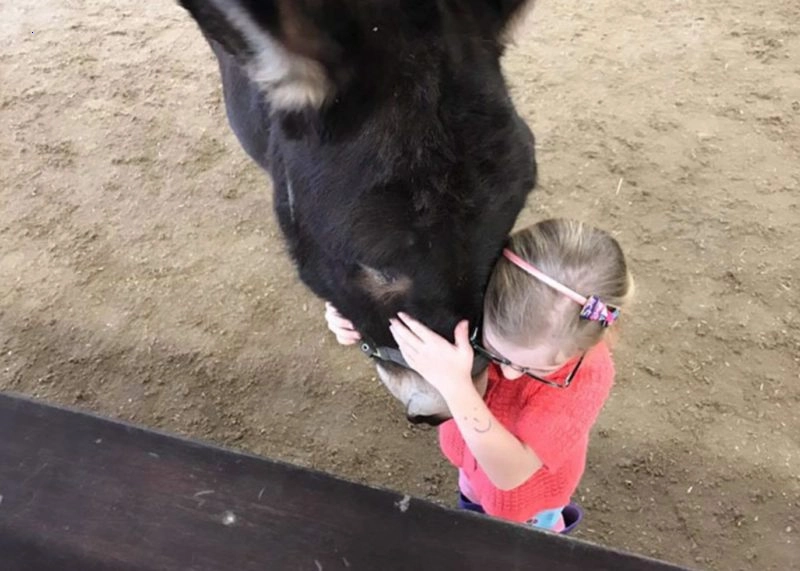 A completely mute little girl surprises everyone when she says these magical words to her therapy donkey.