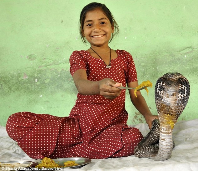King Cobra: The journey abroad of an 8-year-old Indian girl.f