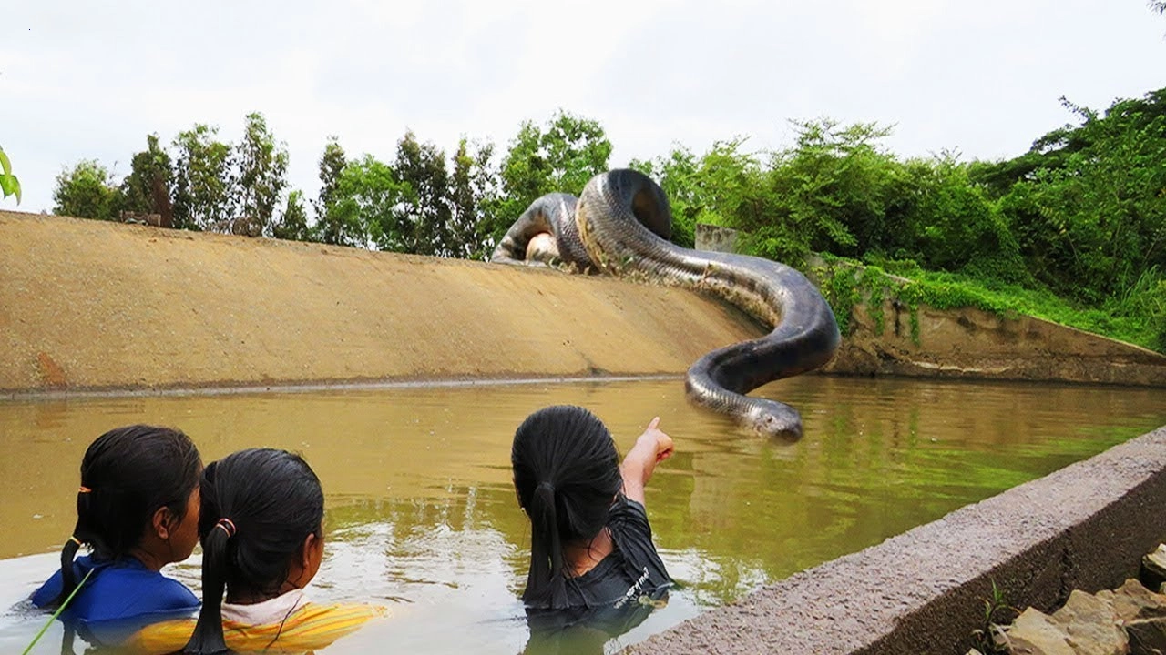 The world’s largest and most dangerous snake surprised two children when they saw it.f