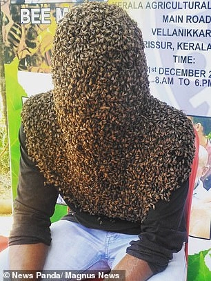Setting a world record: Man achieved an amazing feat when tens of thousands of bees landed on his face (Video).f