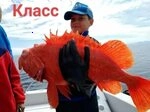 British fishermen caught a rare bright red fish that made viewers unbelievable.f