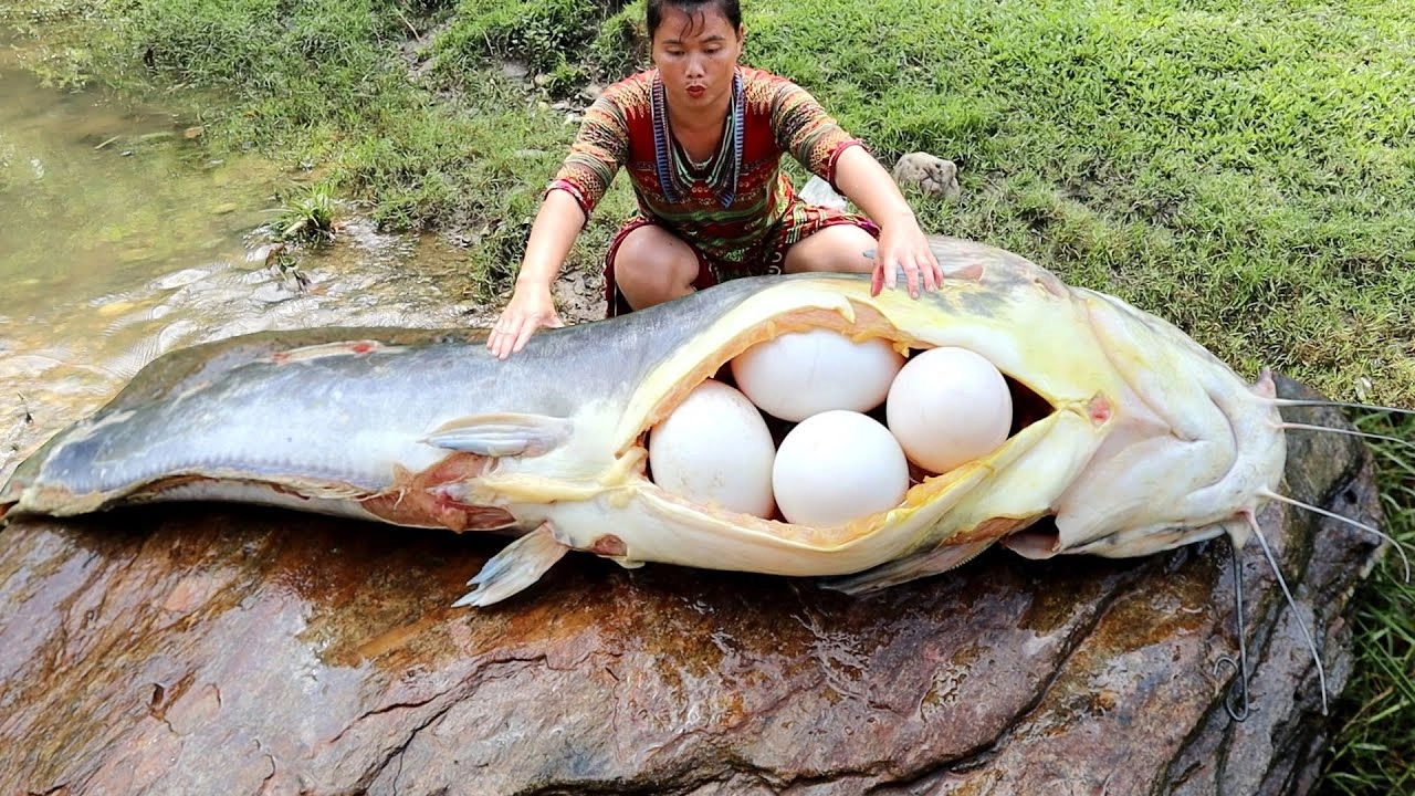 .Incredible Meeting: Enormous Prehistoric Fish Over 5 Tons Amazes Everyone, but the True Revelation Comes from Finding Giant Eggs During Examination..D