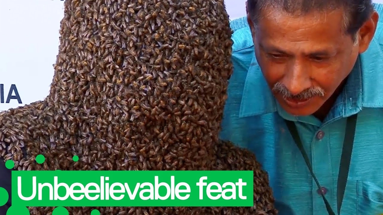 Thousands of bees with thousands of eyes attached create an interesting sight when attracting criminals.f