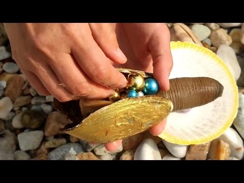 Unbelievably expensive creature: Discovery of Golden Ivory Snail with gilded shell and more than 1,000 pearls unearthed in the US.f