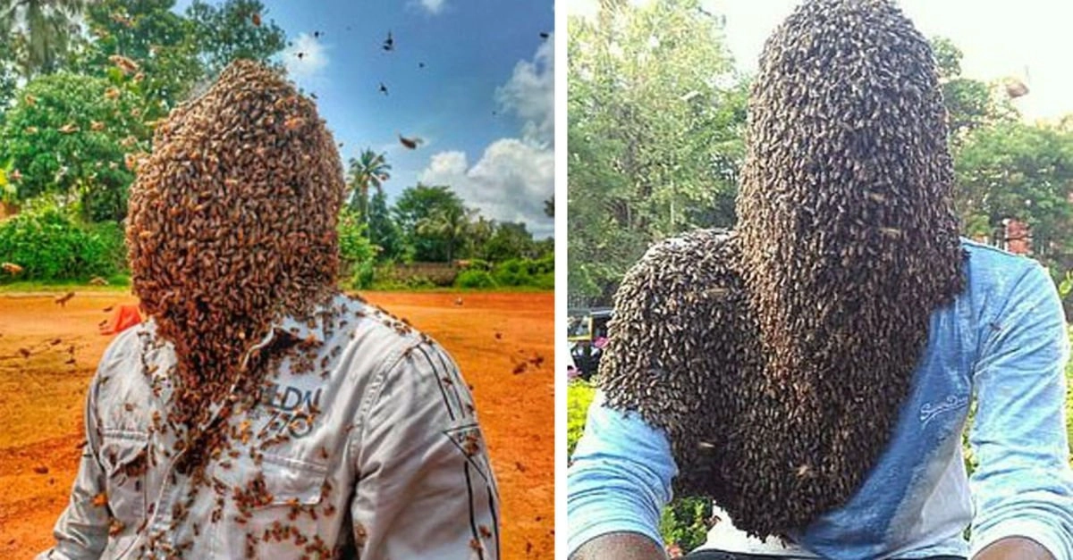Thousands of bees with thousands of eyes attached create an interesting sight when attracting criminals.f